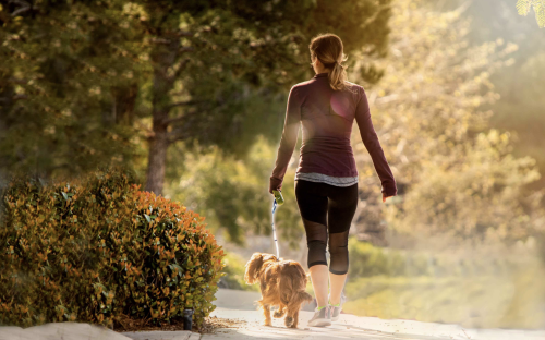 면역력을 자연스럽게 강화하는 방법